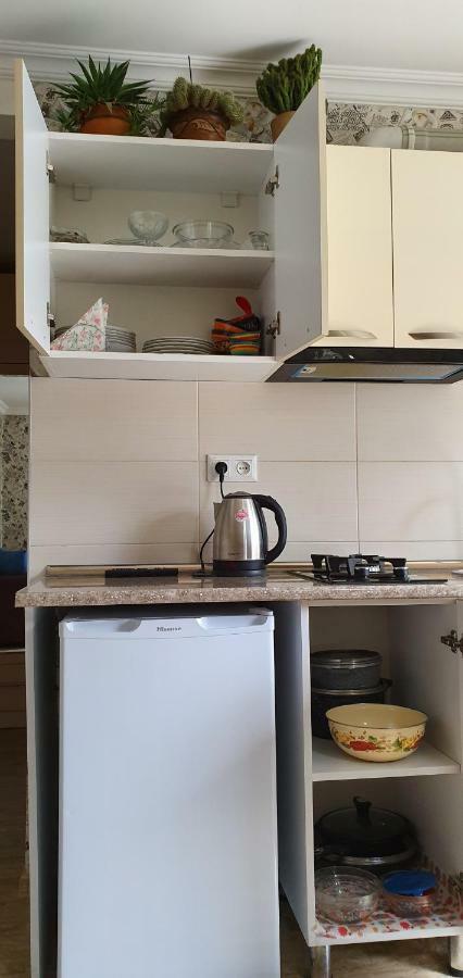 Parkside Apartment Borjomi Dış mekan fotoğraf